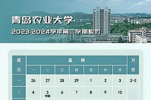 东体：崔麟、特谢拉因伤未随申花出征郑州，王俊镪、王浩获提拔